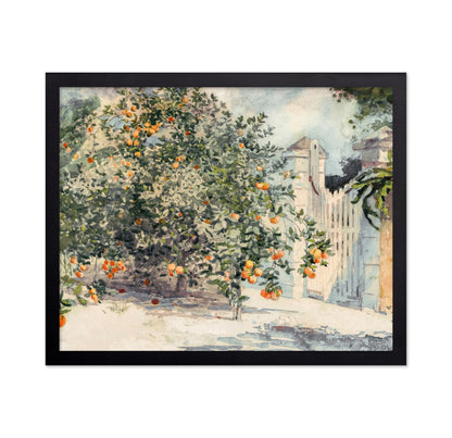 Orange Trees and Gate