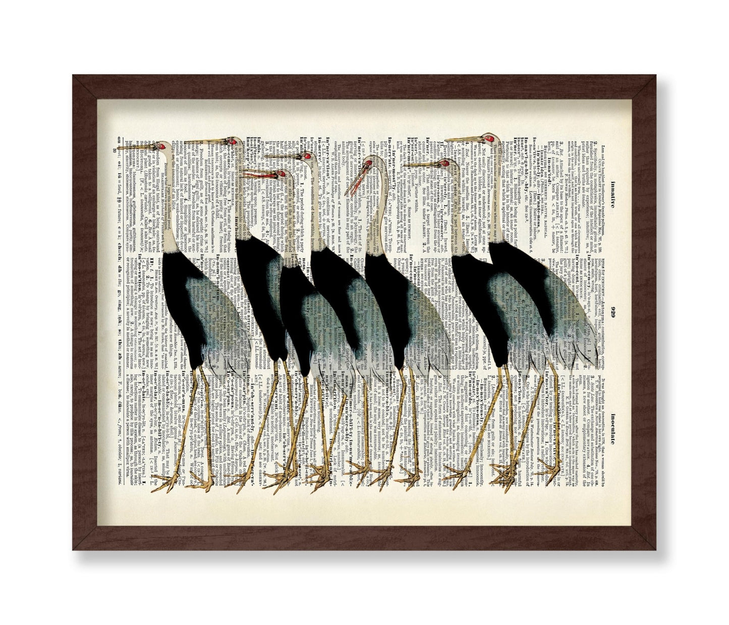 Flock of Japanese Red Crown Crane