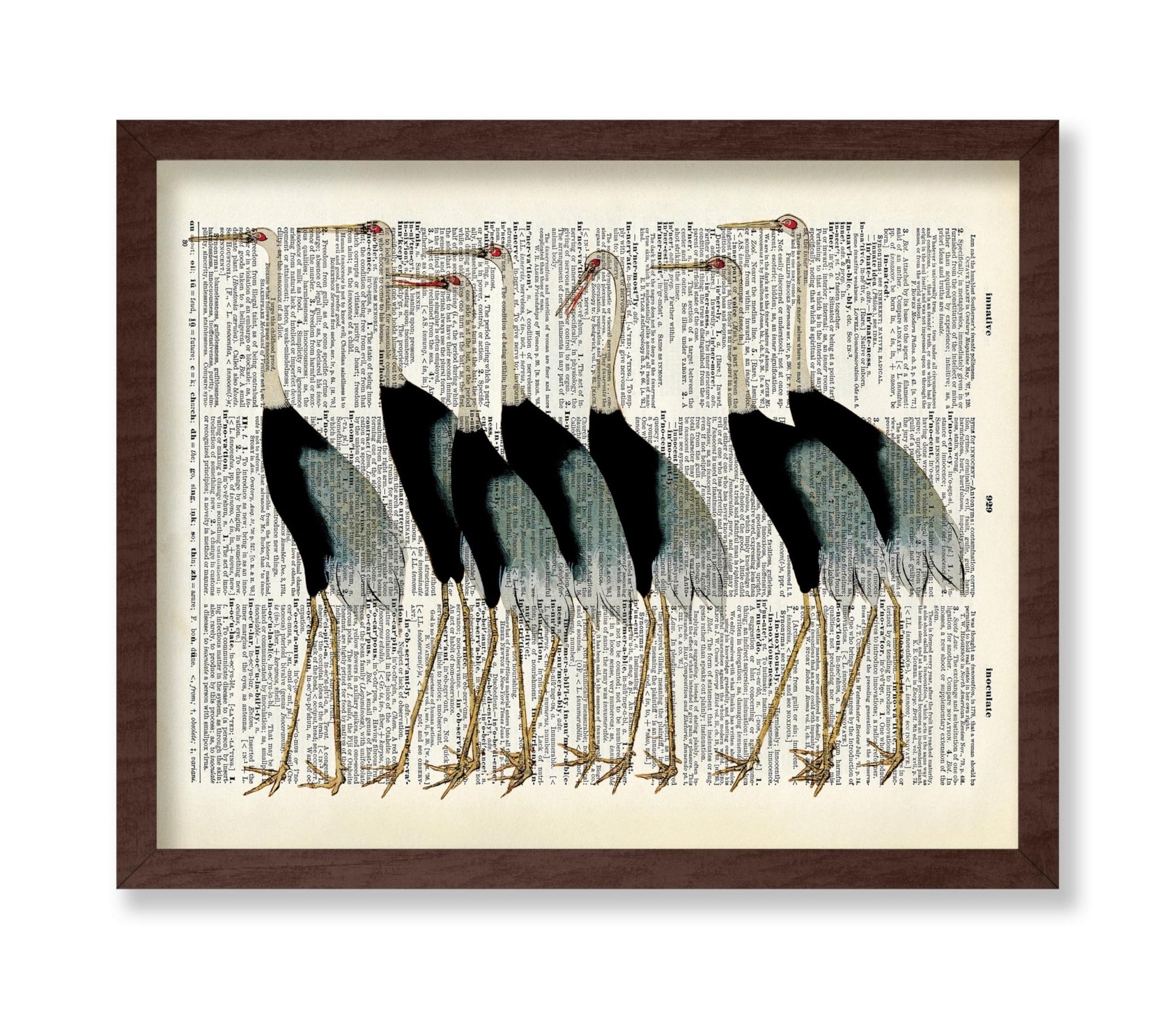 Flock of Japanese Red Crown Crane