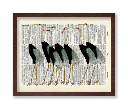 Flock of Japanese Red Crown Crane