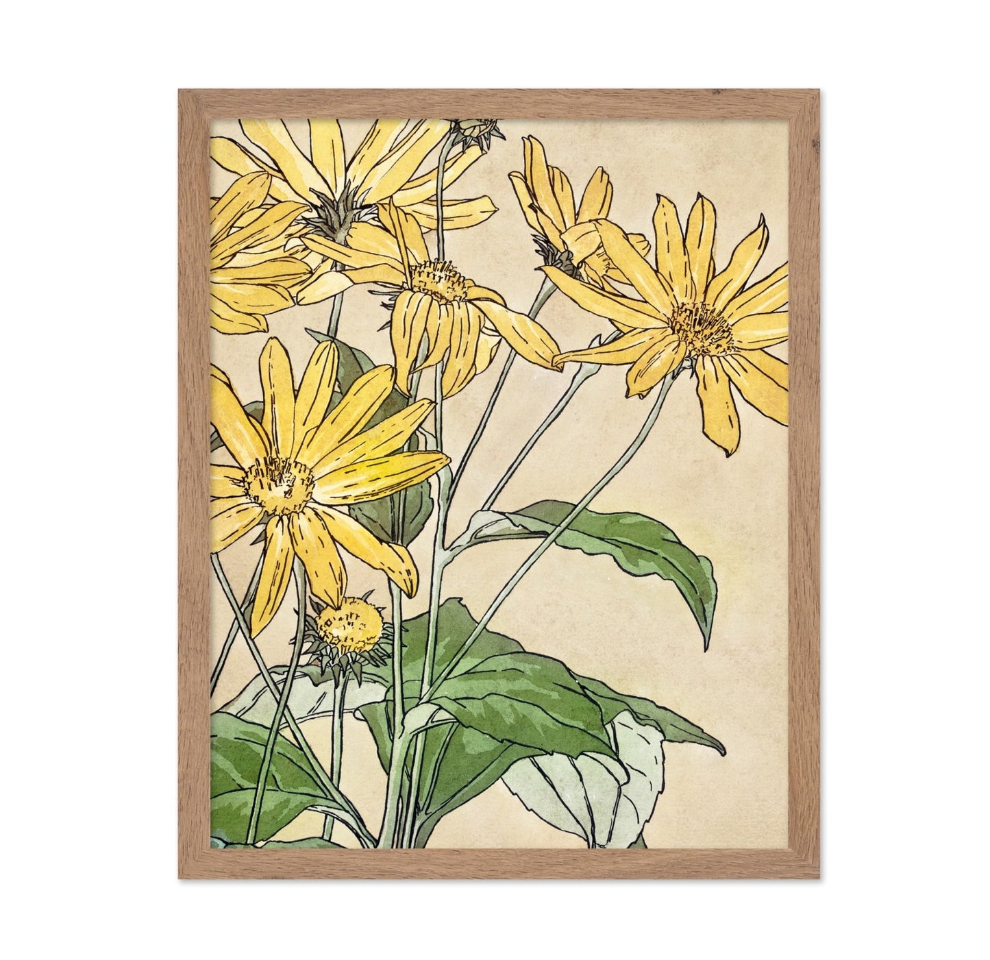 Sunflowers