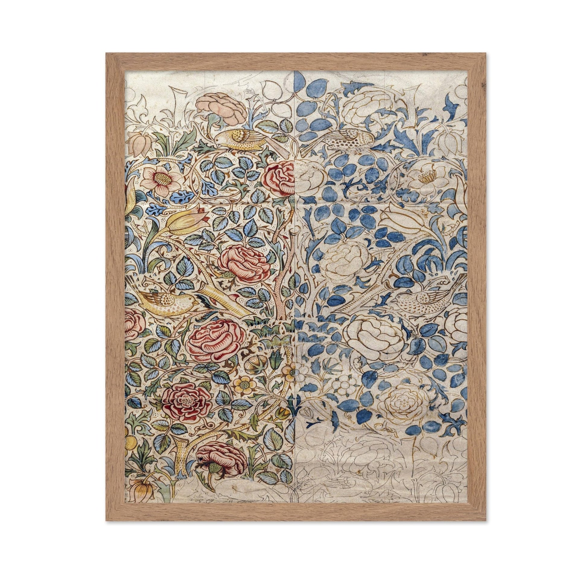 William Morris - Rose No1