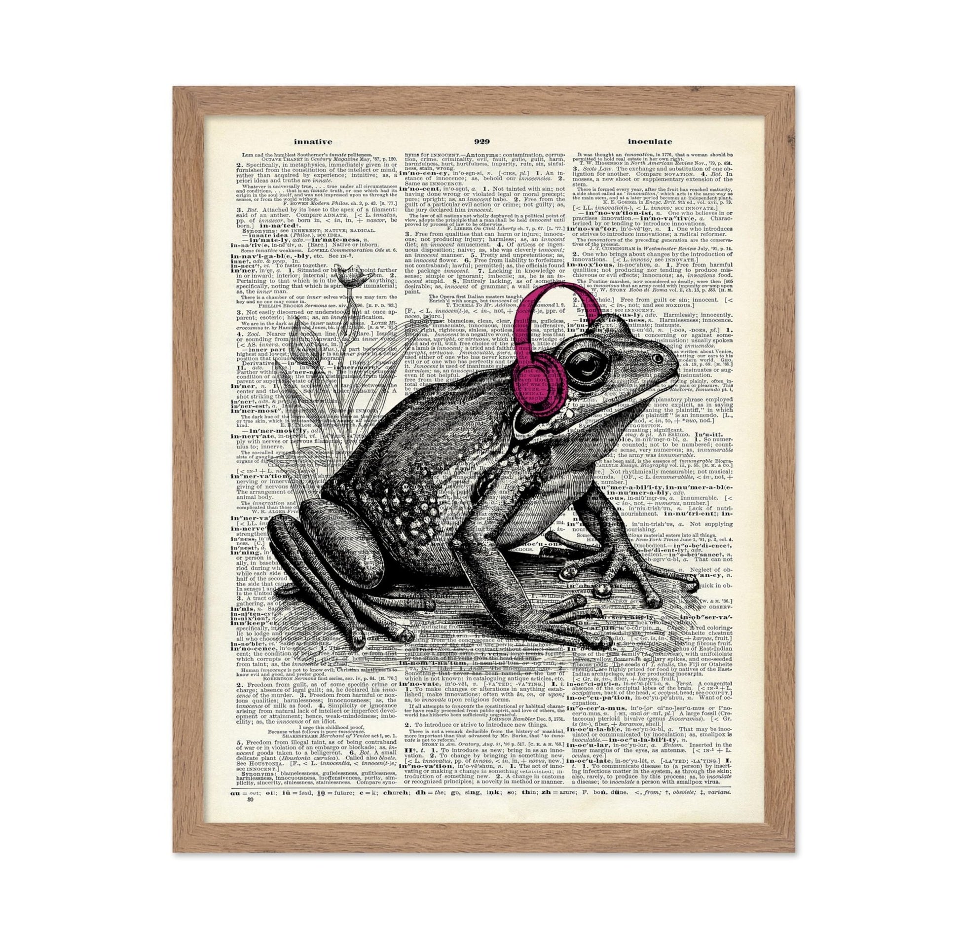 Frog With Headphones