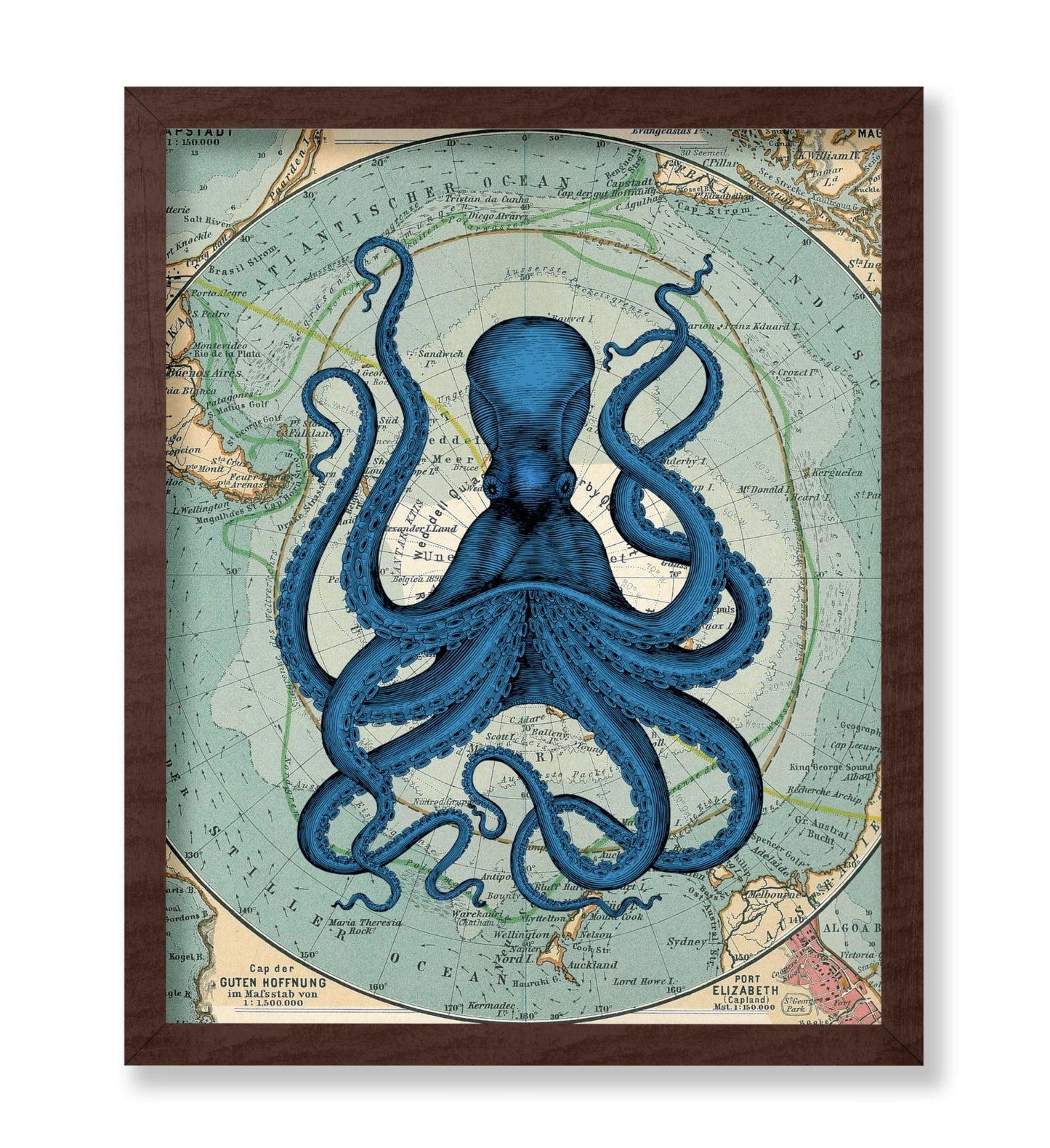 Antarctica Map and Kraken No1