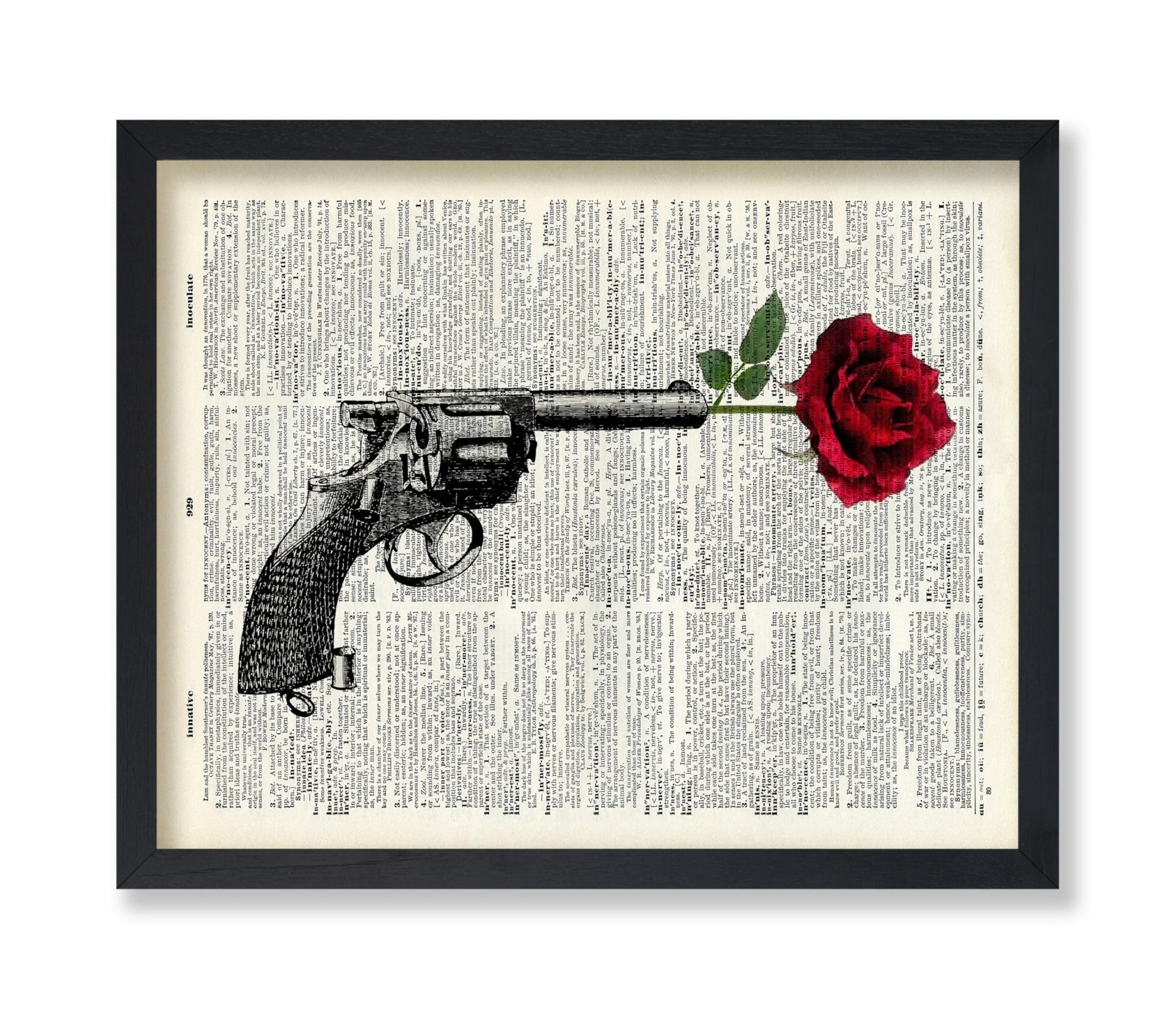 Rose in Pistol