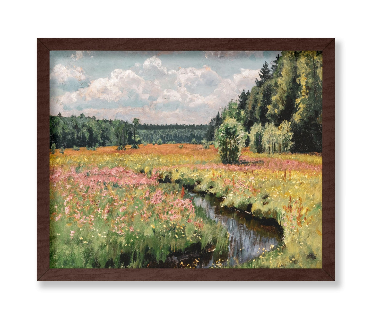 Summer Meadow