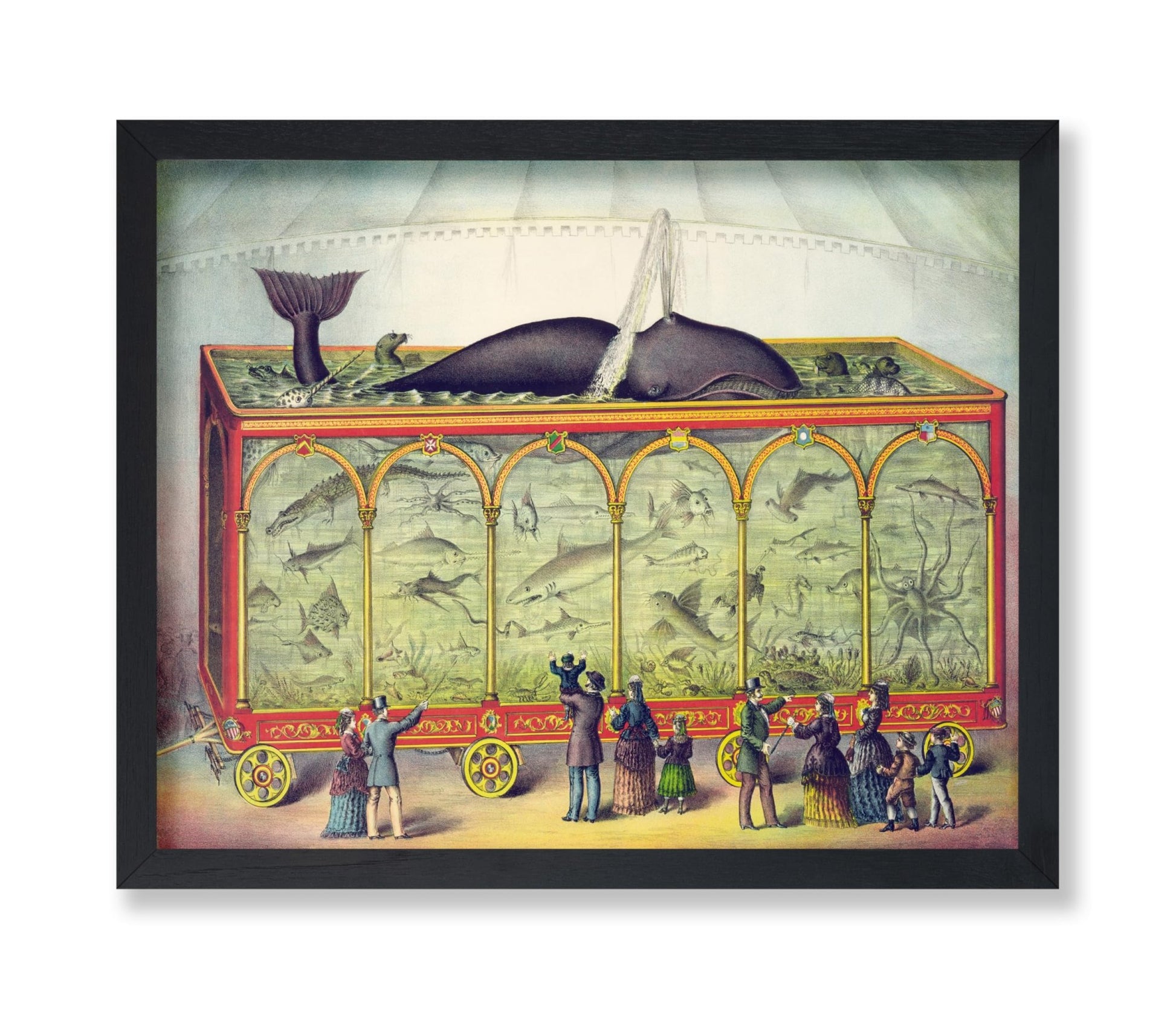 Circus Aquarium