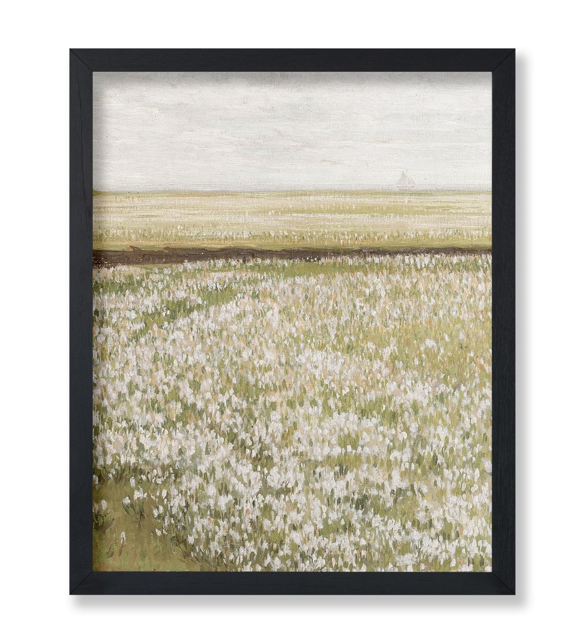 Spring Meadow