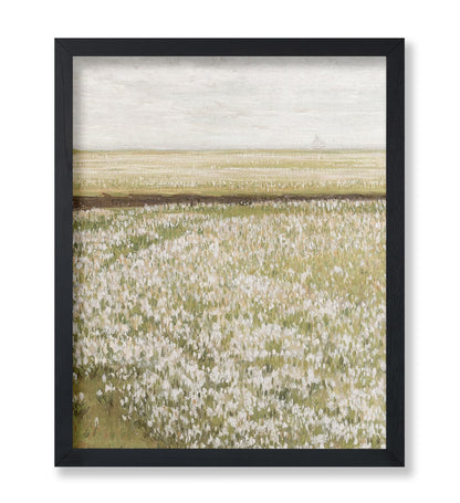 Spring Meadow