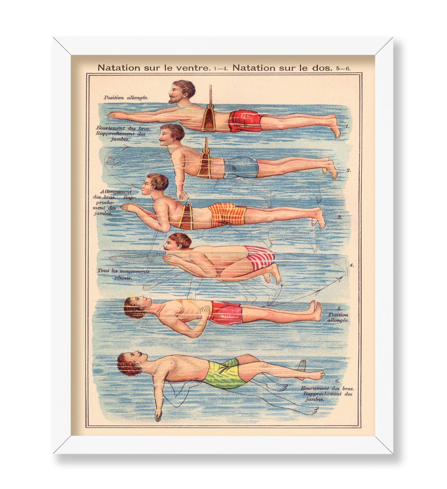 Friedrich Eduard Bilz - Natation