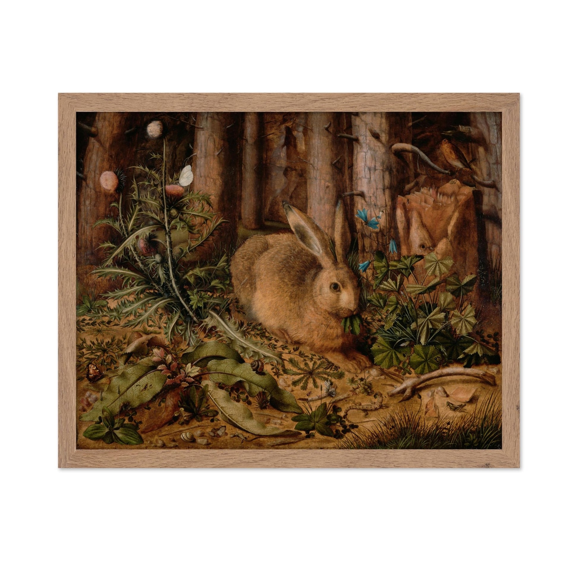 A Hare In The Forest