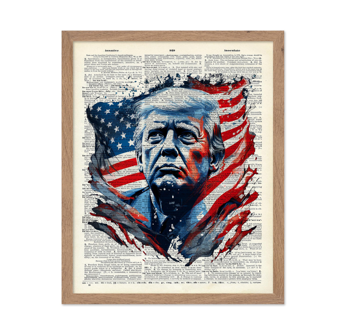 Trump Dictionary Art