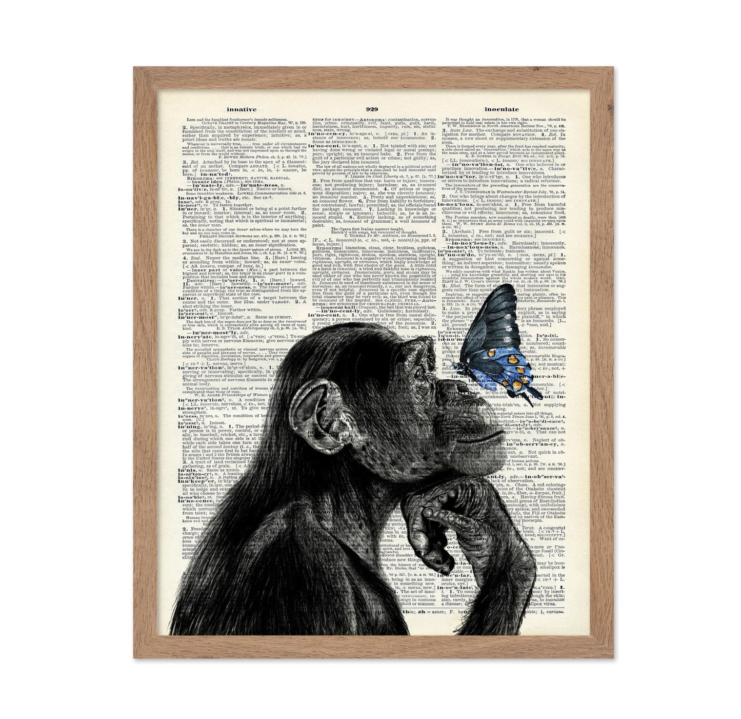 Monkey and Butterfly