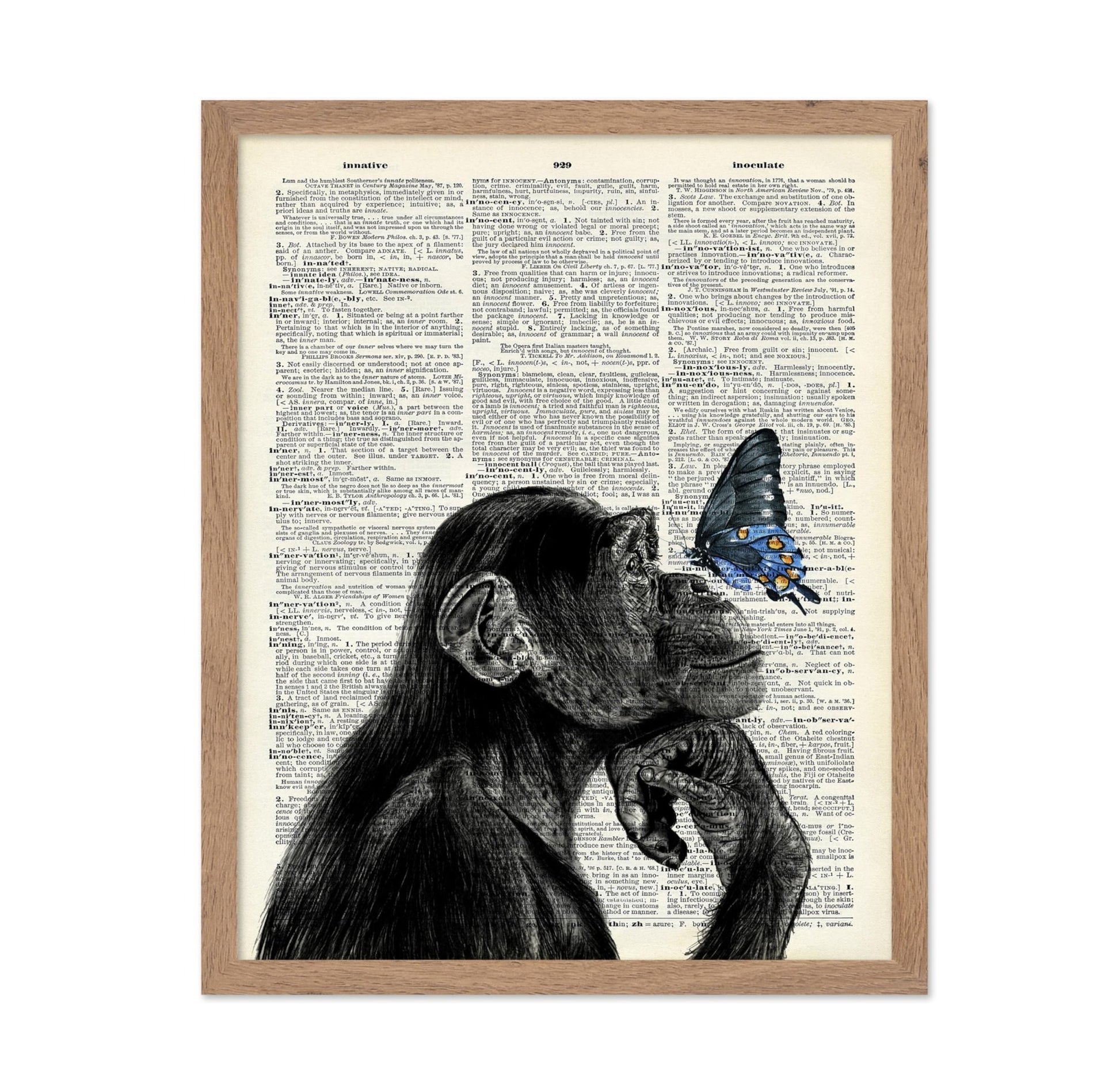 Monkey and Butterfly