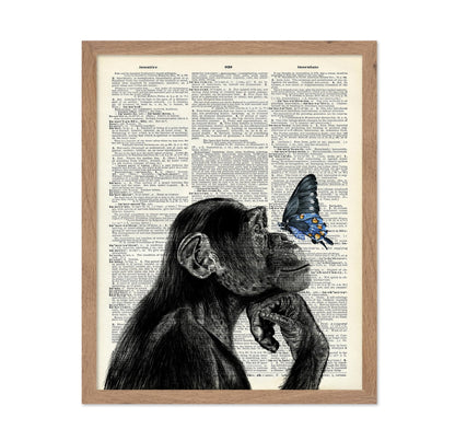 Monkey and Butterfly