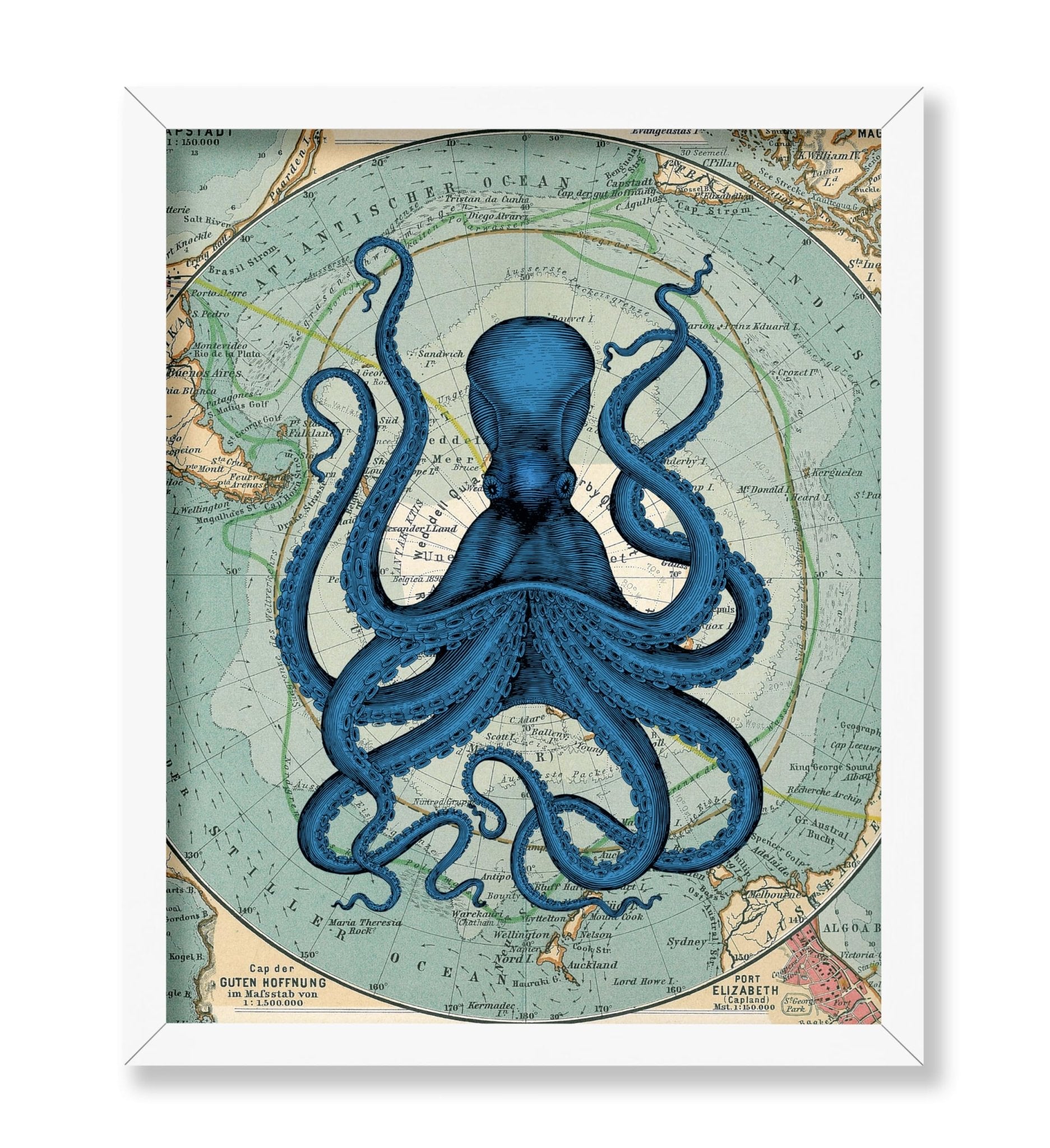 Antarctica Map and Kraken No1