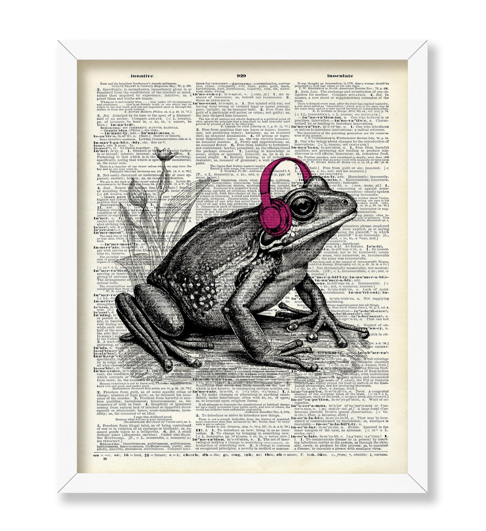 Frog With Headphones
