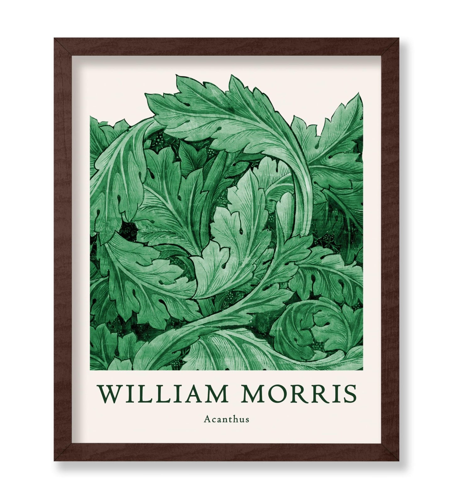 William Morris - Acanthus No5