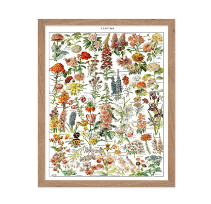 Assorted Flowers