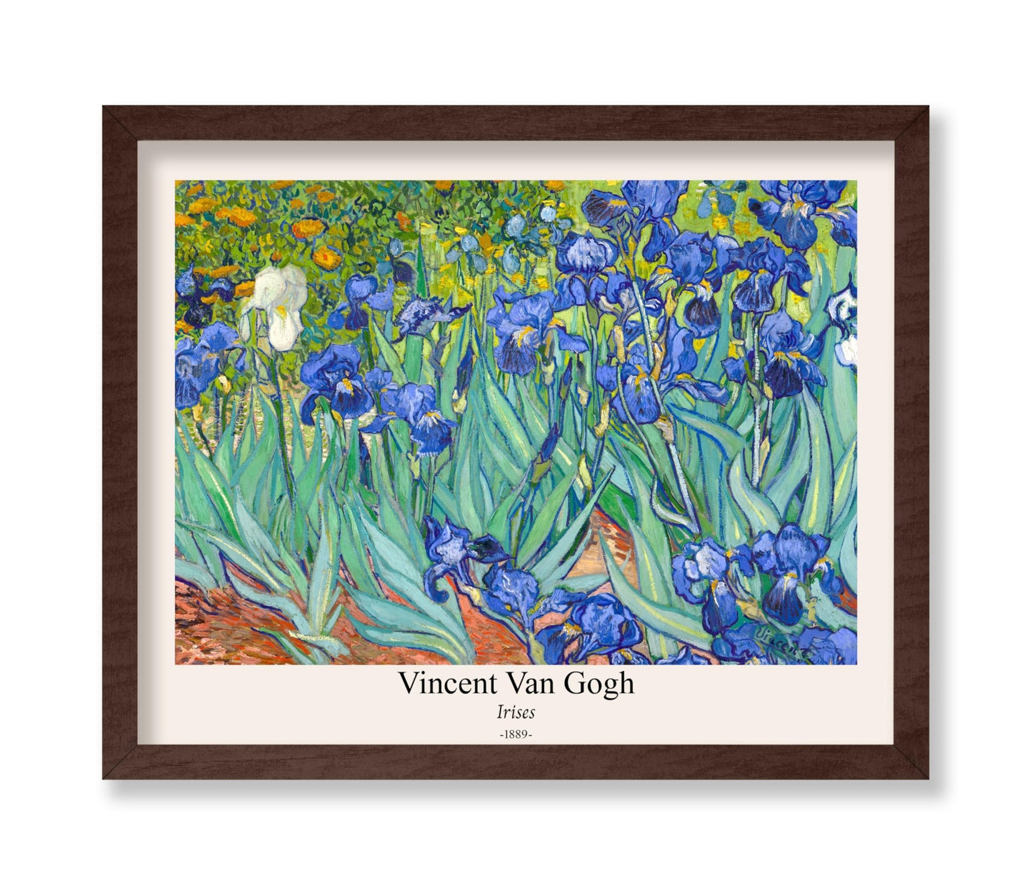 Van Gogh - Irises No2