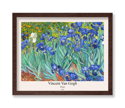 Van Gogh - Irises No2