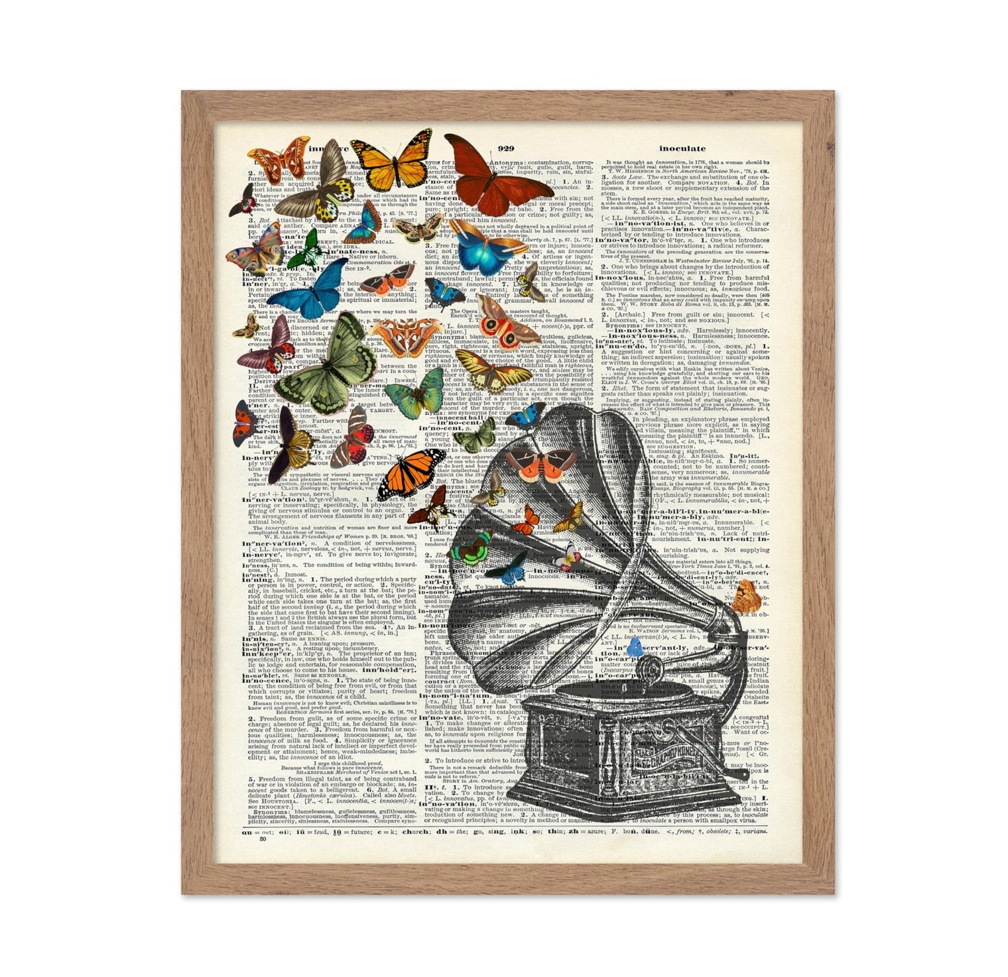 Phonograph and Butterflies