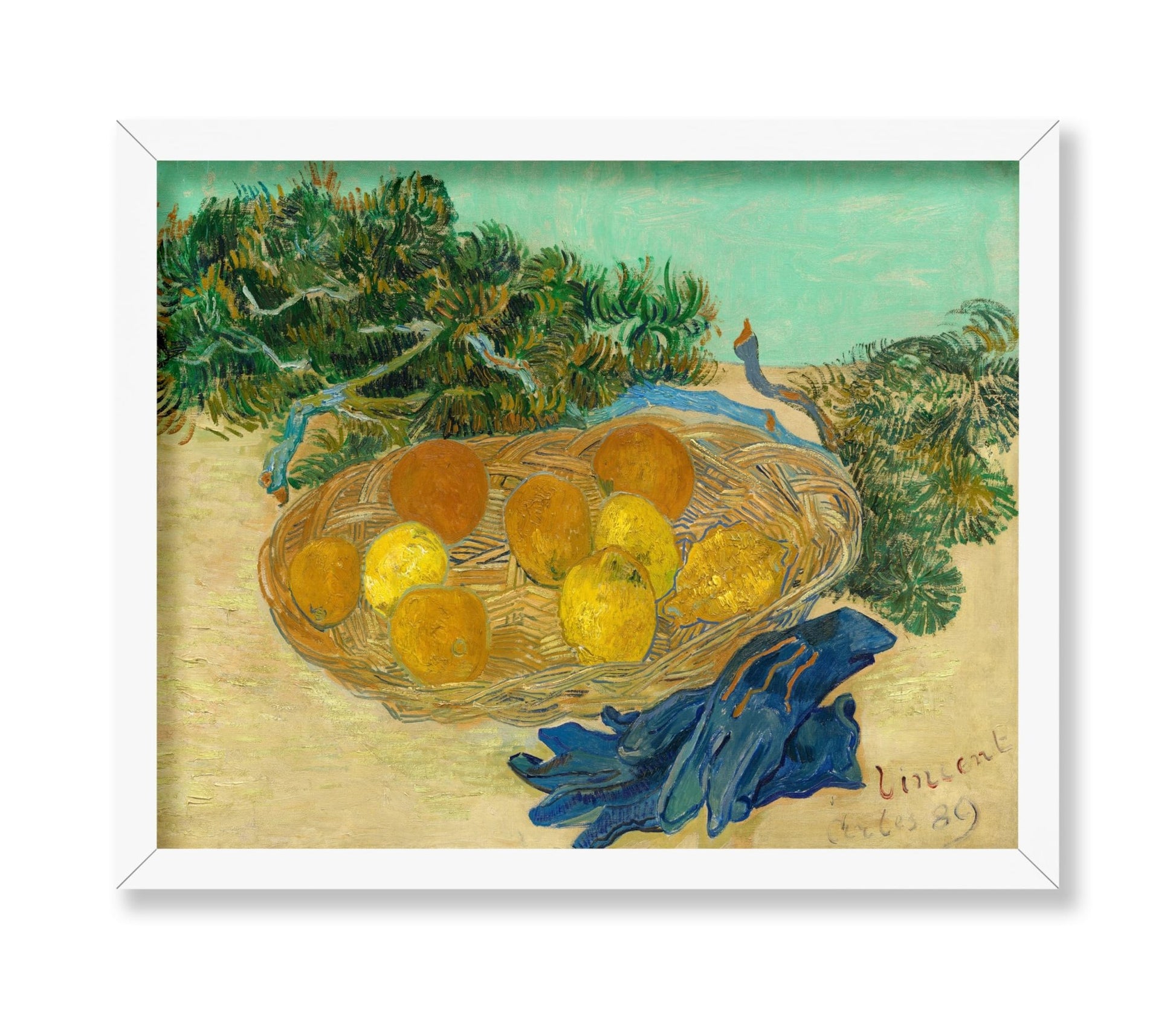 Van Gogh - Still Life of Oranges No2