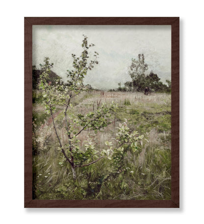 Field of Meadows