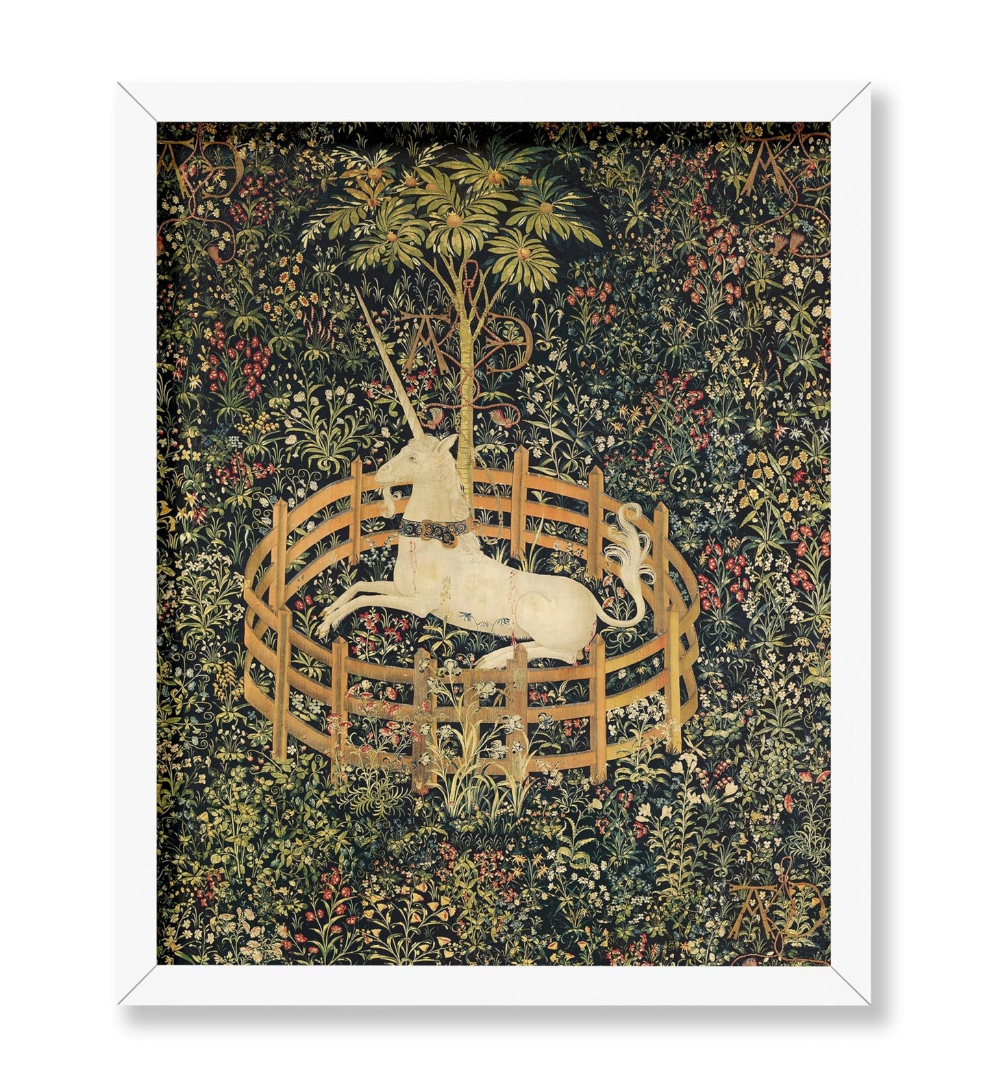 The Unicorn in Captivity