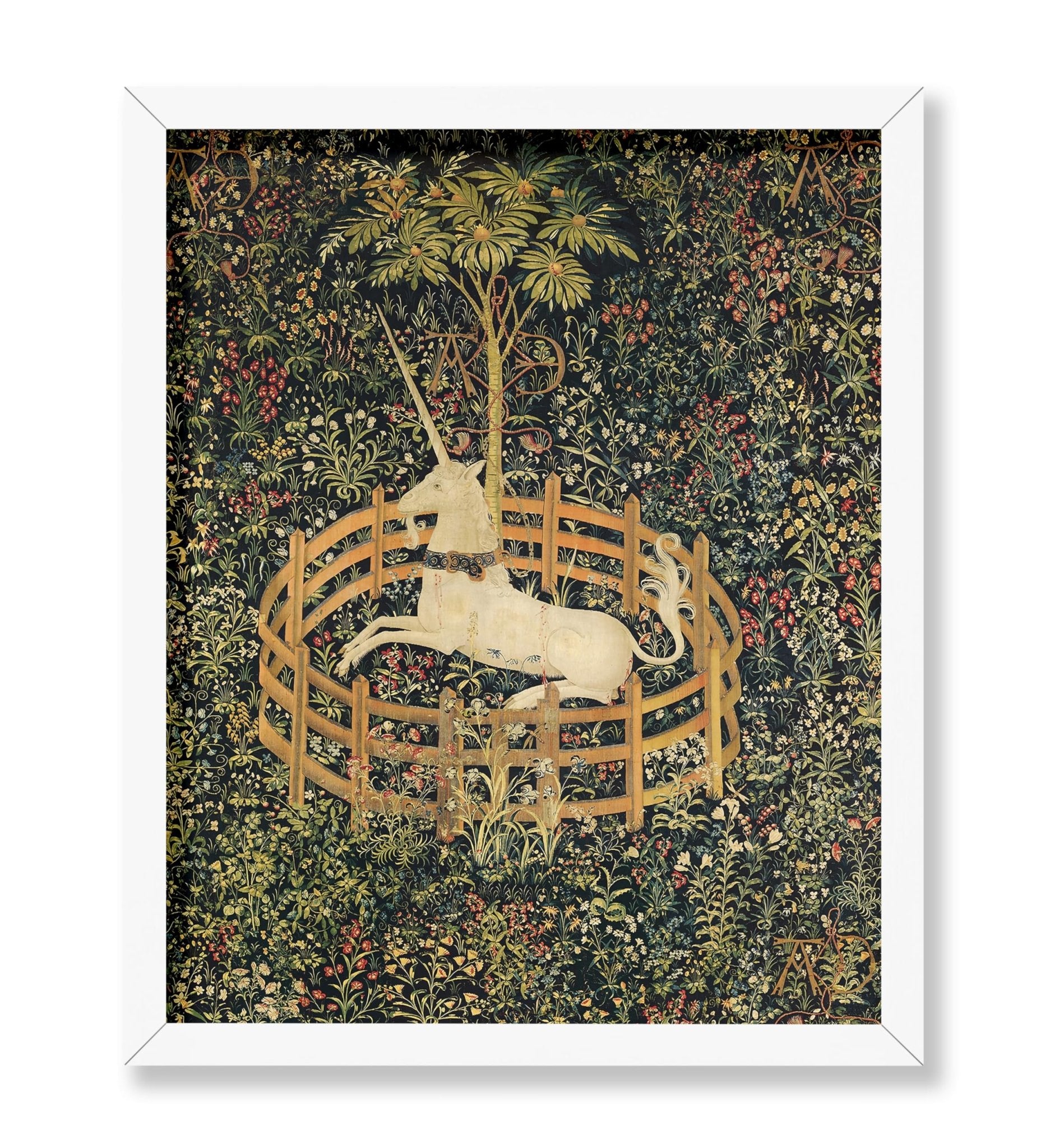 The Unicorn in Captivity