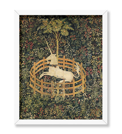 The Unicorn in Captivity