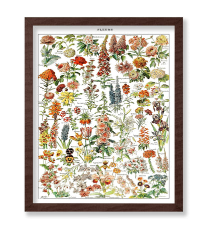 Assorted Flowers