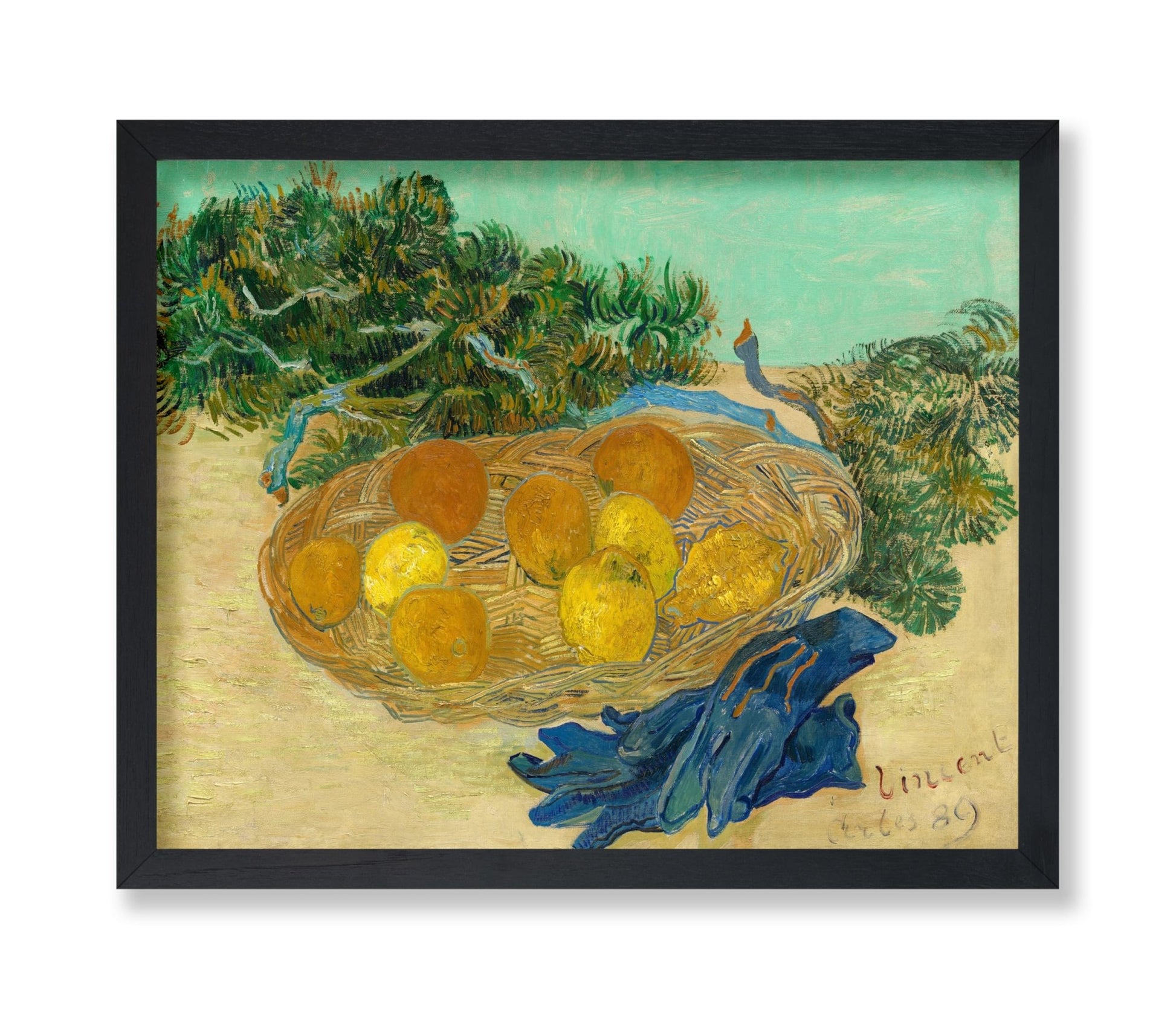 Van Gogh - Still Life of Oranges No2