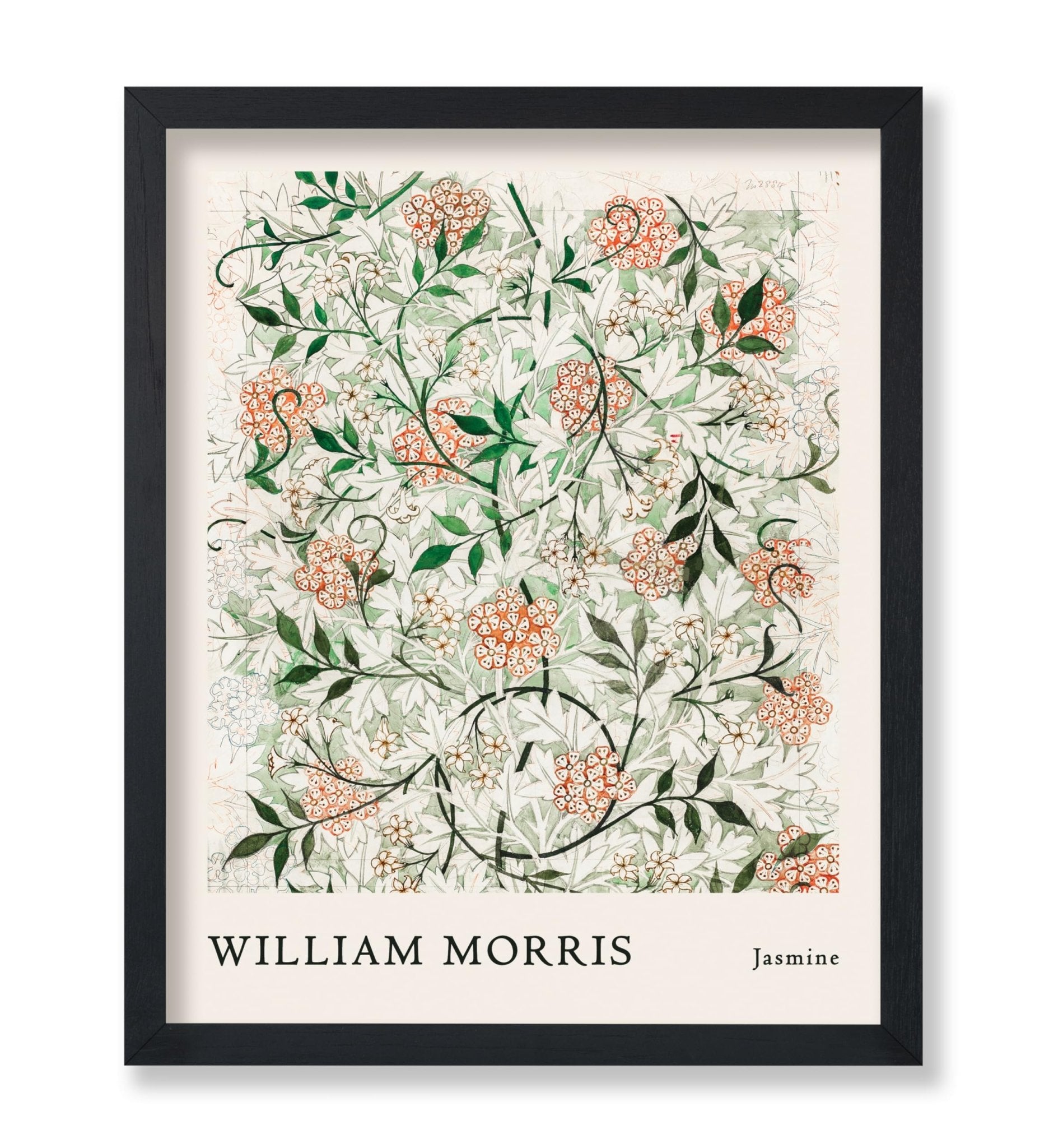 William Morris - Jasmine No1