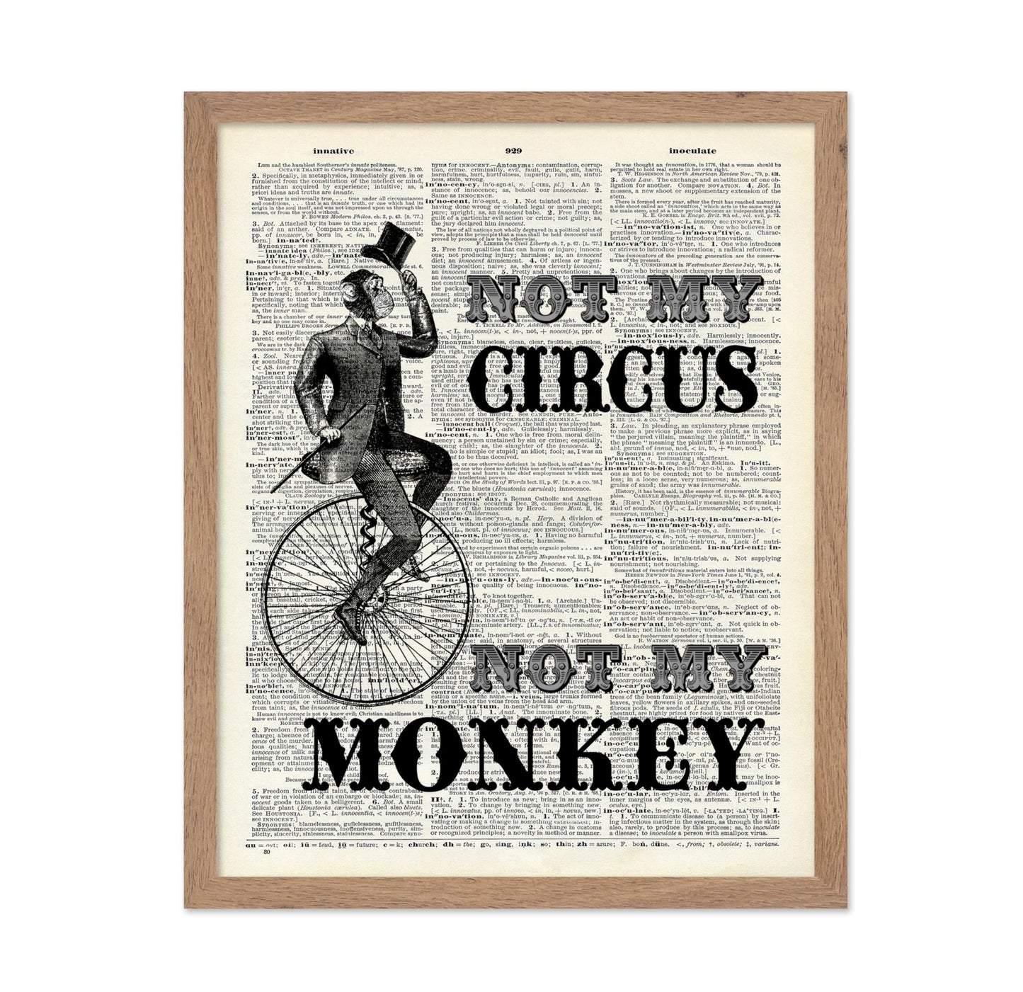 Not My Circus Not My Monkey No2