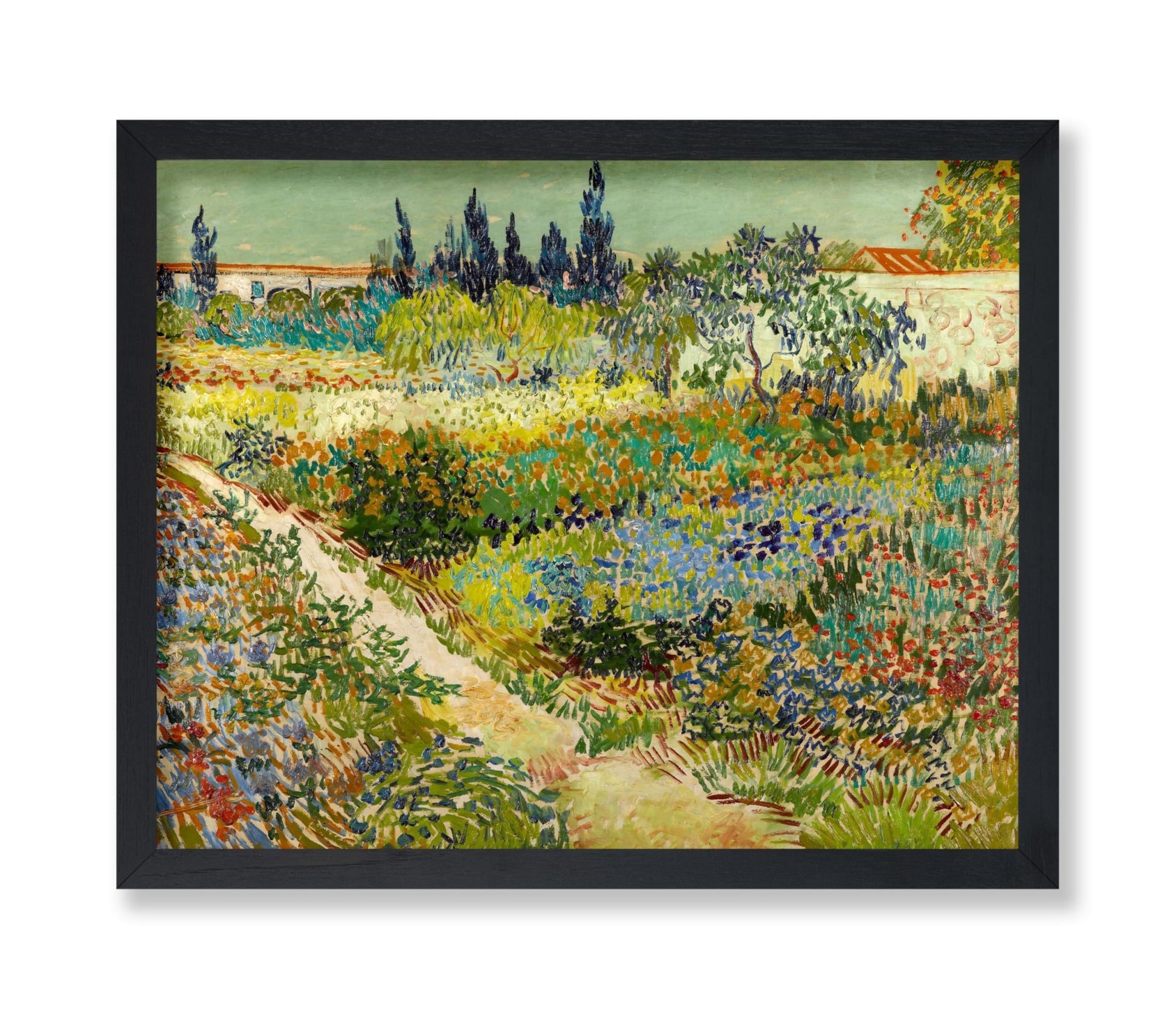 Van Gogh - Garden at Arles No1
