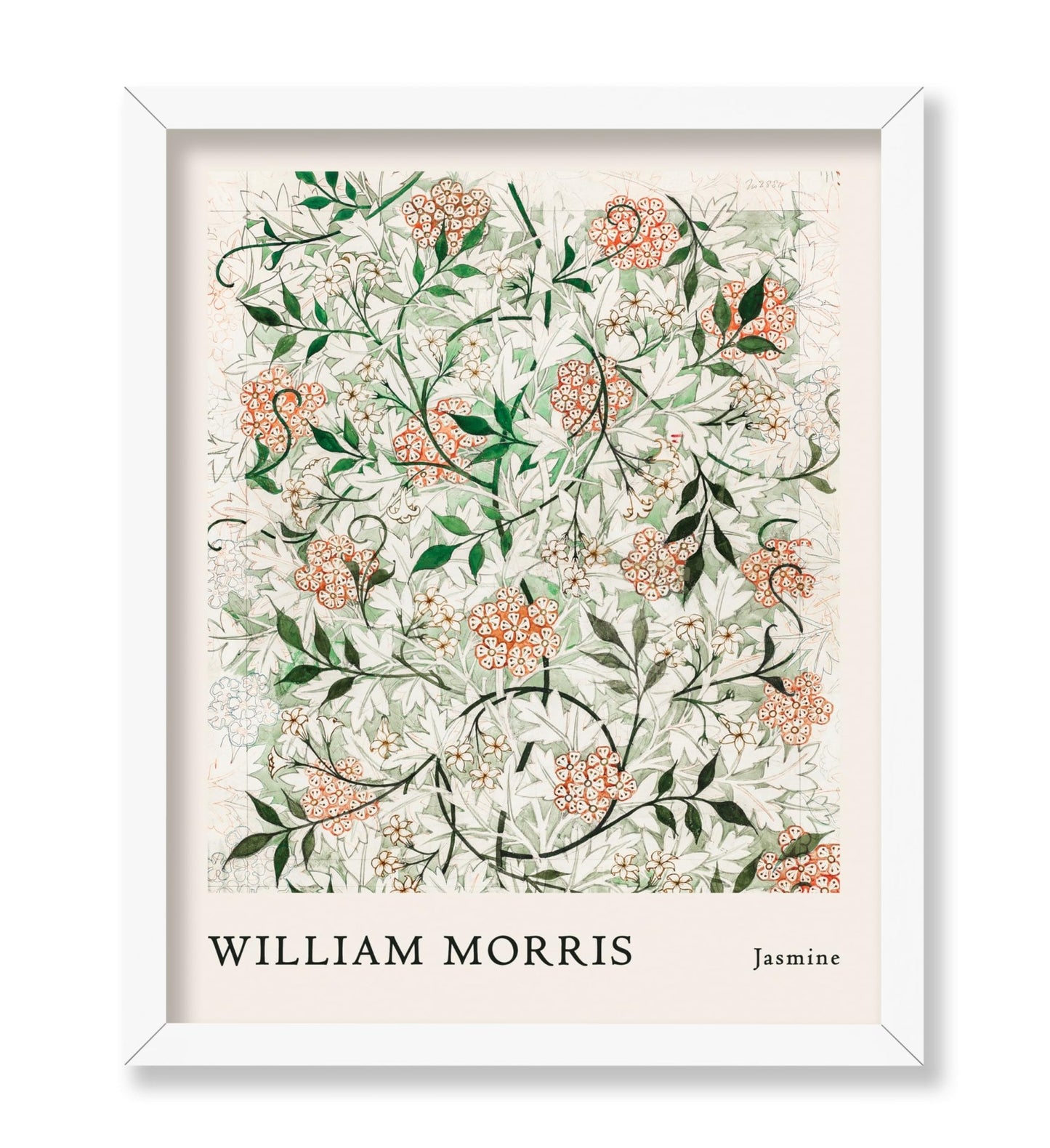 William Morris - Jasmine No1