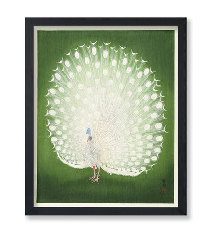 Ohara Koson - Peacock No4