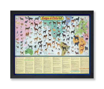 Dogs and Cats of the World