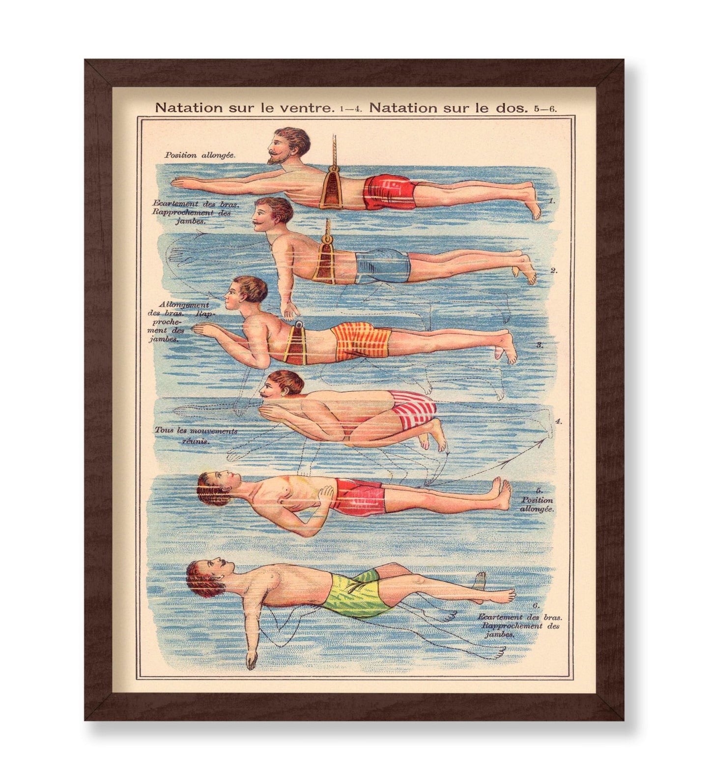 Friedrich Eduard Bilz - Natation