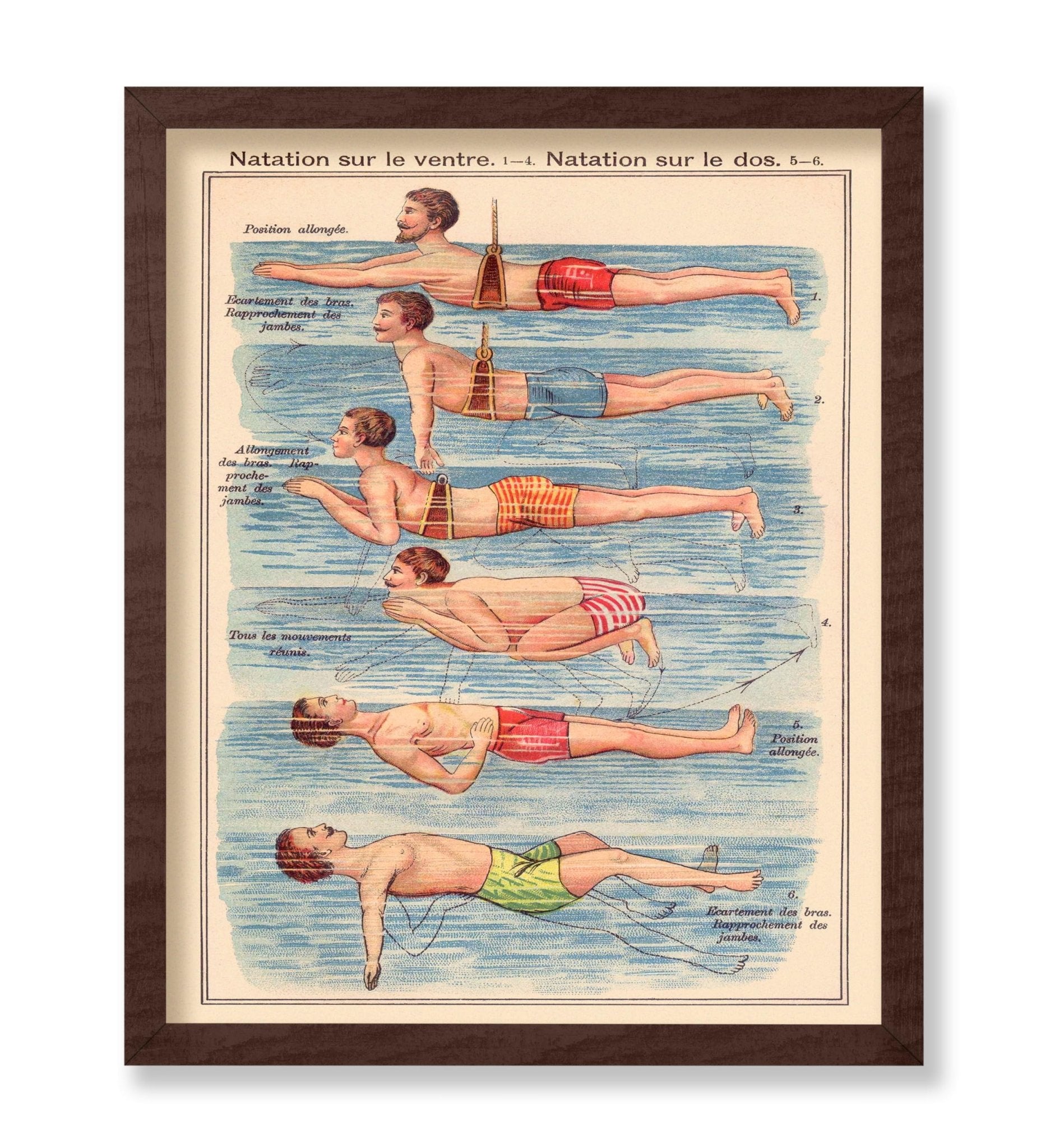 Friedrich Eduard Bilz - Natation