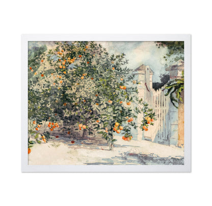 Orange Trees and Gate