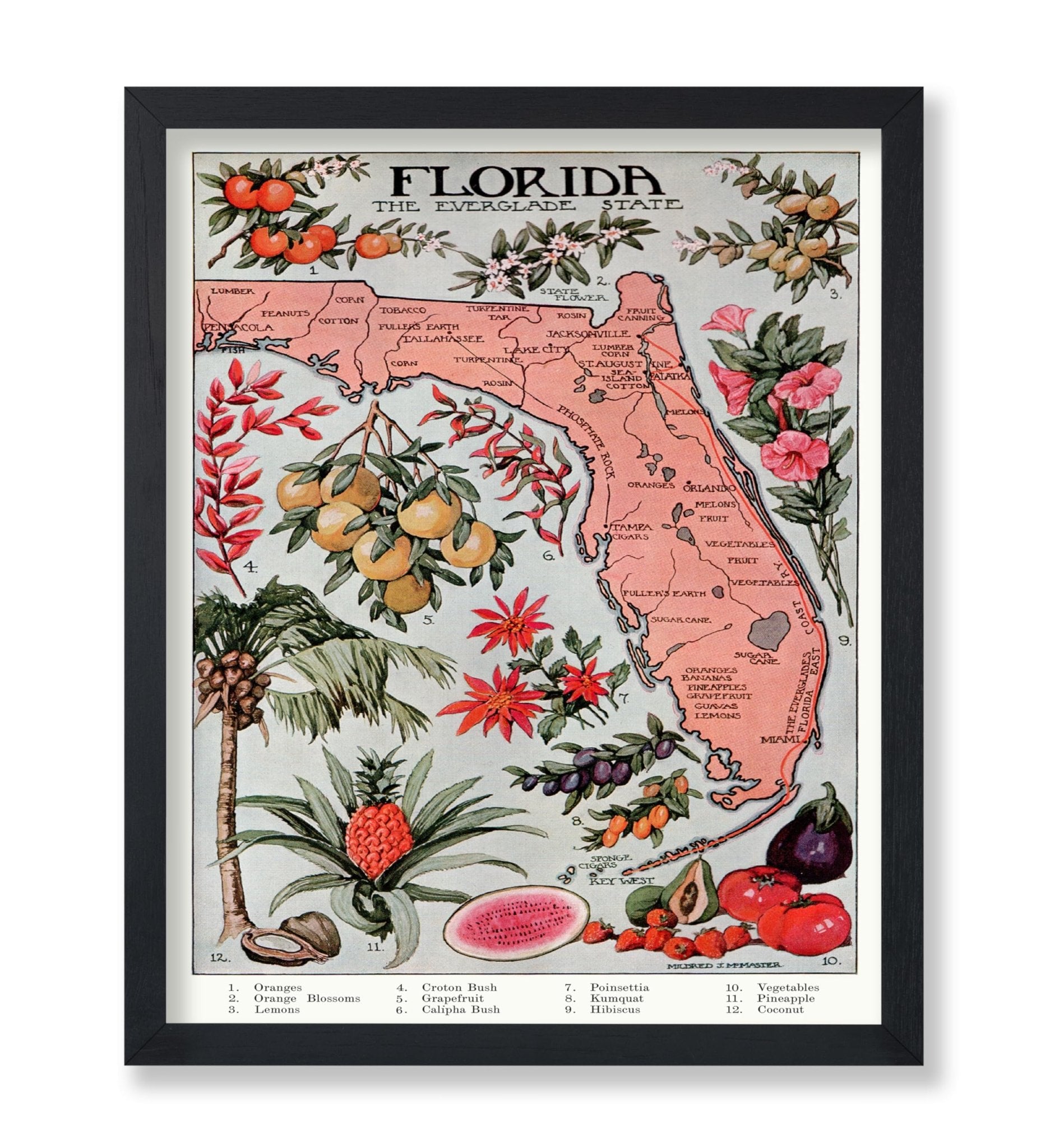 Florida - The Everglade State