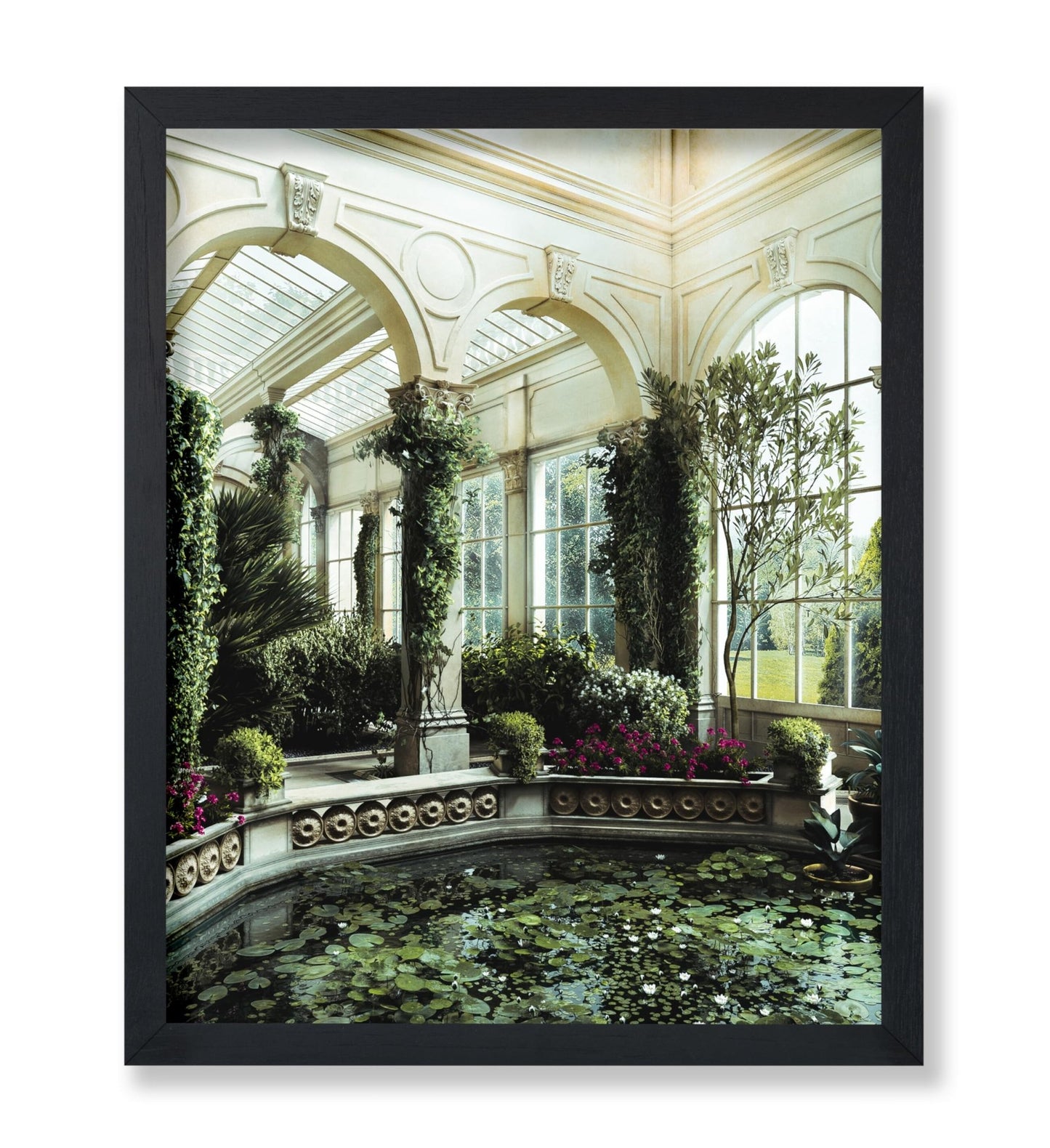 Water Lily Pond