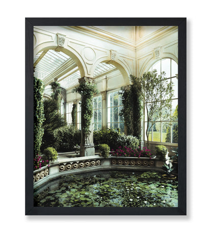 Water Lily Pond