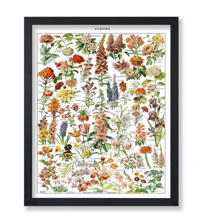 Assorted Flowers