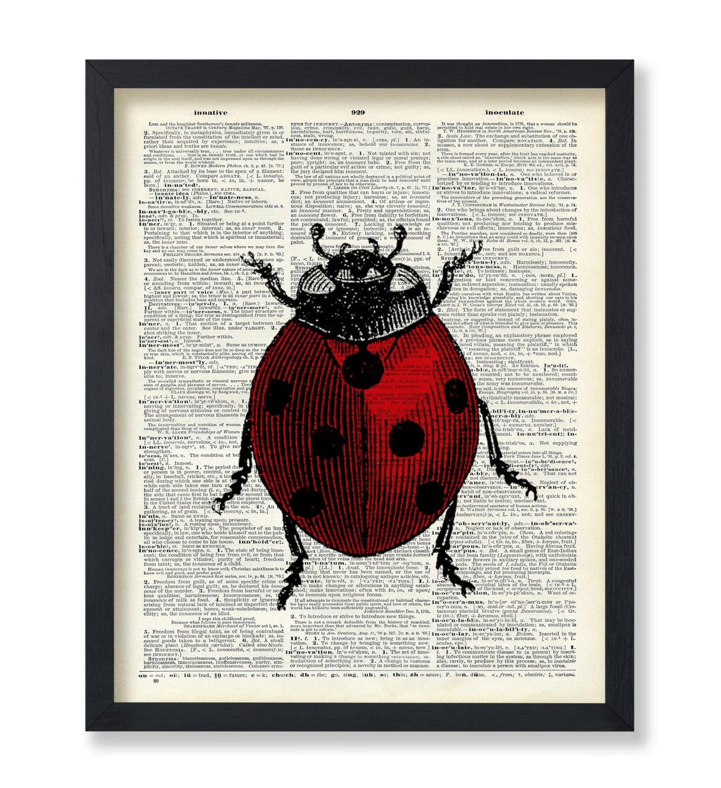 Ladybug