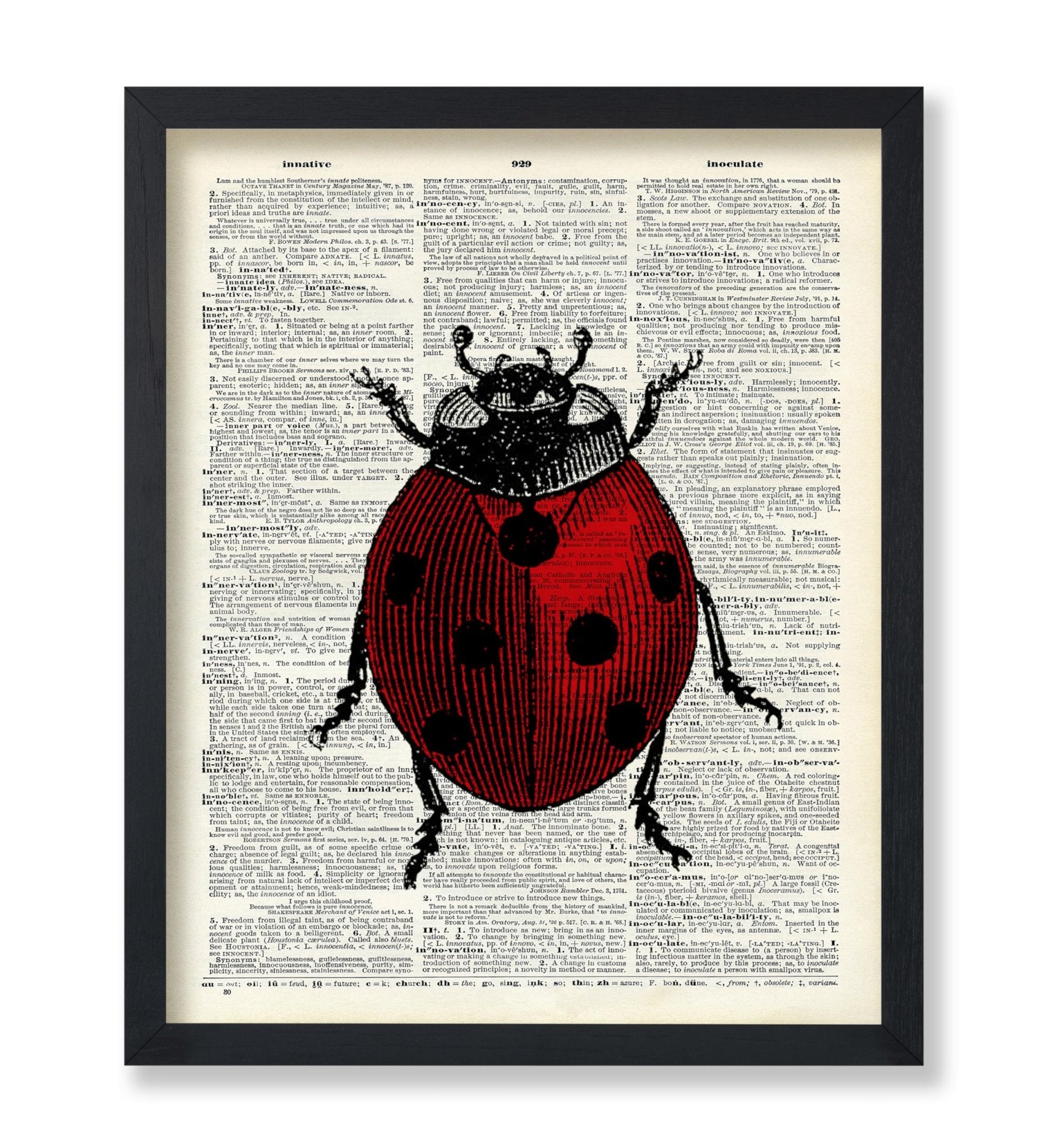 Ladybug