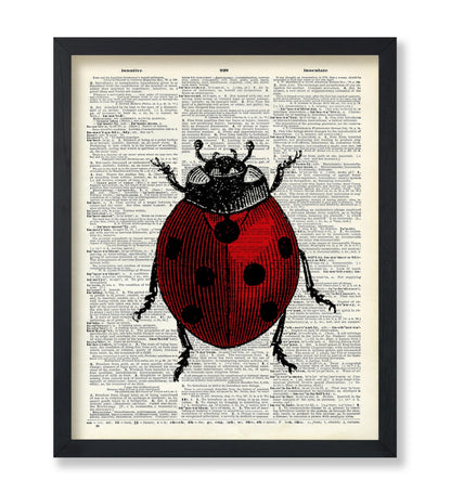 Ladybug
