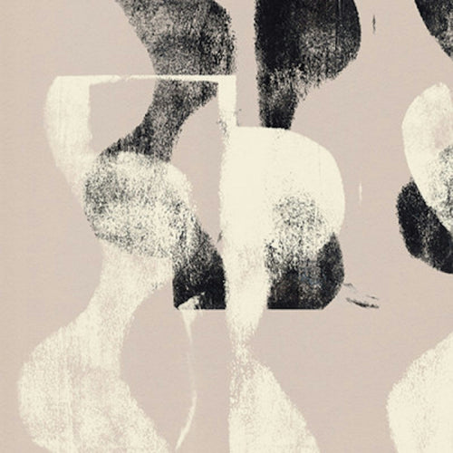 Dina Dankers